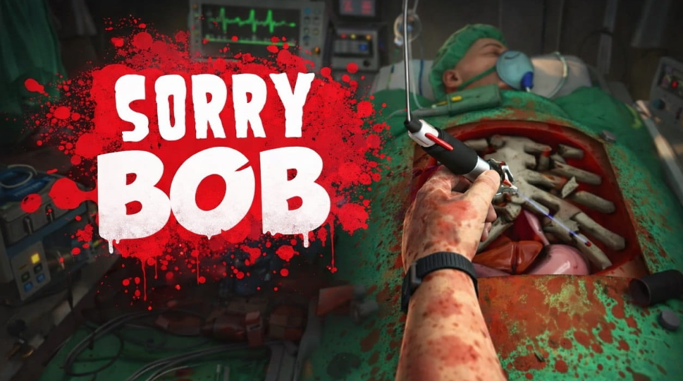 Sorry Bob gameplay screenshot